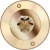 #8 x 2-1/2 in. Star Drive Low Profile Washer-Head Wood Cabinet Screw (100 per Pack)