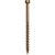 #8 x 2 in. Star Drive Trim-Head Finish Screw (100-per Pack)