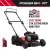 21 in. 2-in-1 125cc Gas Push Mower, Briggs and Stratton Engine, Quick Start, 6-Position Height Adjustment