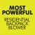 175 MPH 760 CFM 38cc Gas Backpack Leaf Blower