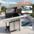 4-Burner Propane Gas Grill with Side Burner Portable Stainless Steel BBQ Outdoor Stovetop, 42,000 BTU