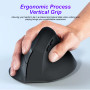 Person using ergonomic vertical mouse with correct wrist posture — helps prevent carpal tunnel syndrome and RSI for office workers