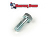 Vespa Dellorto SI Fuel Connection Spigot Screw (8012-45683600)