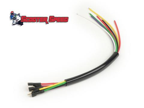 Vespa BGM Stator Rewire Kit - Late P-Series 7Wire (B36-7673820)