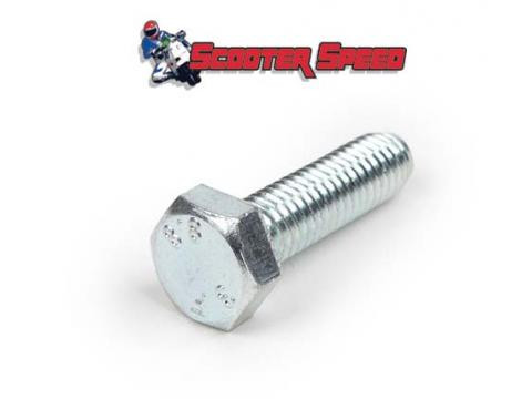 Vespa Clutch Cover Screw SIP M6x25 (V12U-31092000)