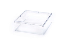 Square Comb Honey Container, Polystyrene 100PK 4BOXSQUARE