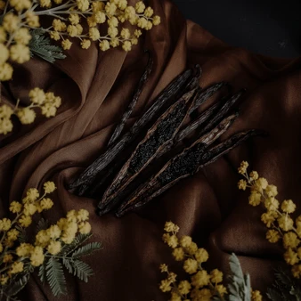 Vanilla After Dark Fragrance Oil | Jovoy Paris Fire at will type
