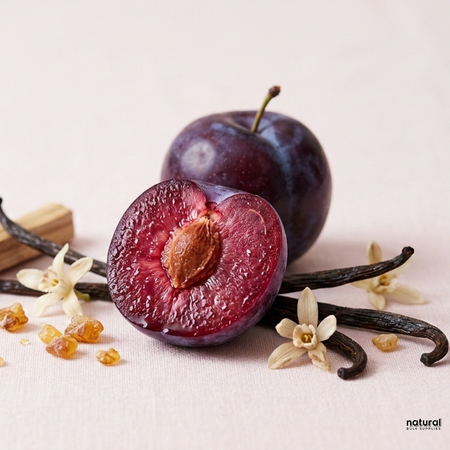 Rio Plum Vanilla Fragrance Oil | Sol de Janeiro Cheirosa 40 Type