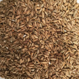 Gladfield Rye Malt - grain