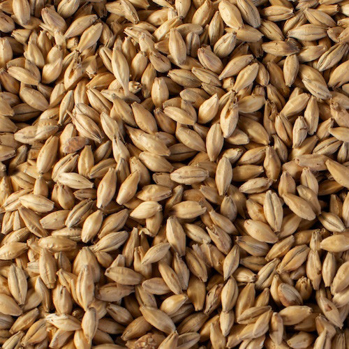 Bohemian Pilsner Malt