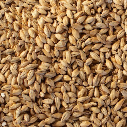 Malts and Grains for Brewing