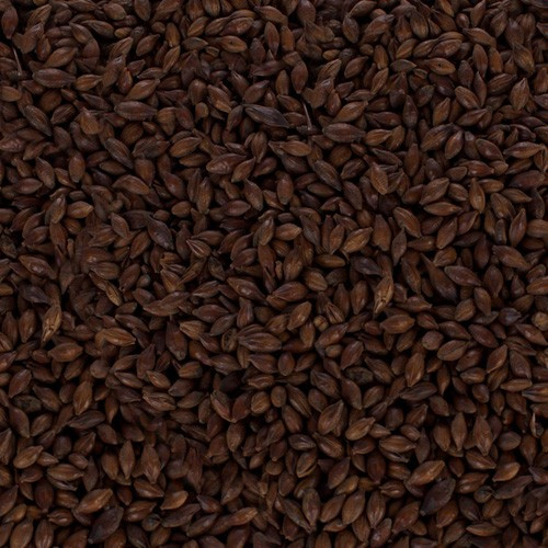 Chocolate Malt (Pale) Grain