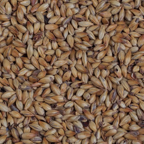 Crystal Malt (medium) Grain