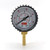 Push In Pressure Gauge - 8mm