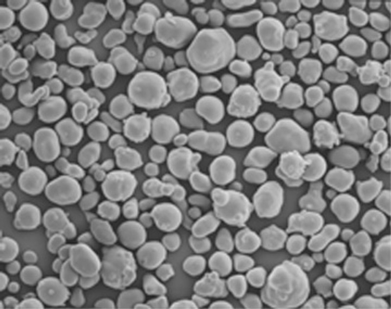 In the Mash pt I: Carbohydrates. In the Mash pt I: Carbohydrates.