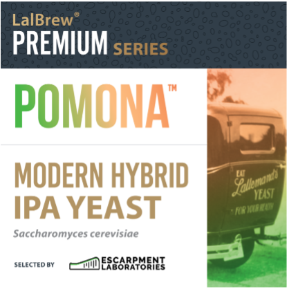 A Deeper Look At The Pomona Modern IPA Yeast