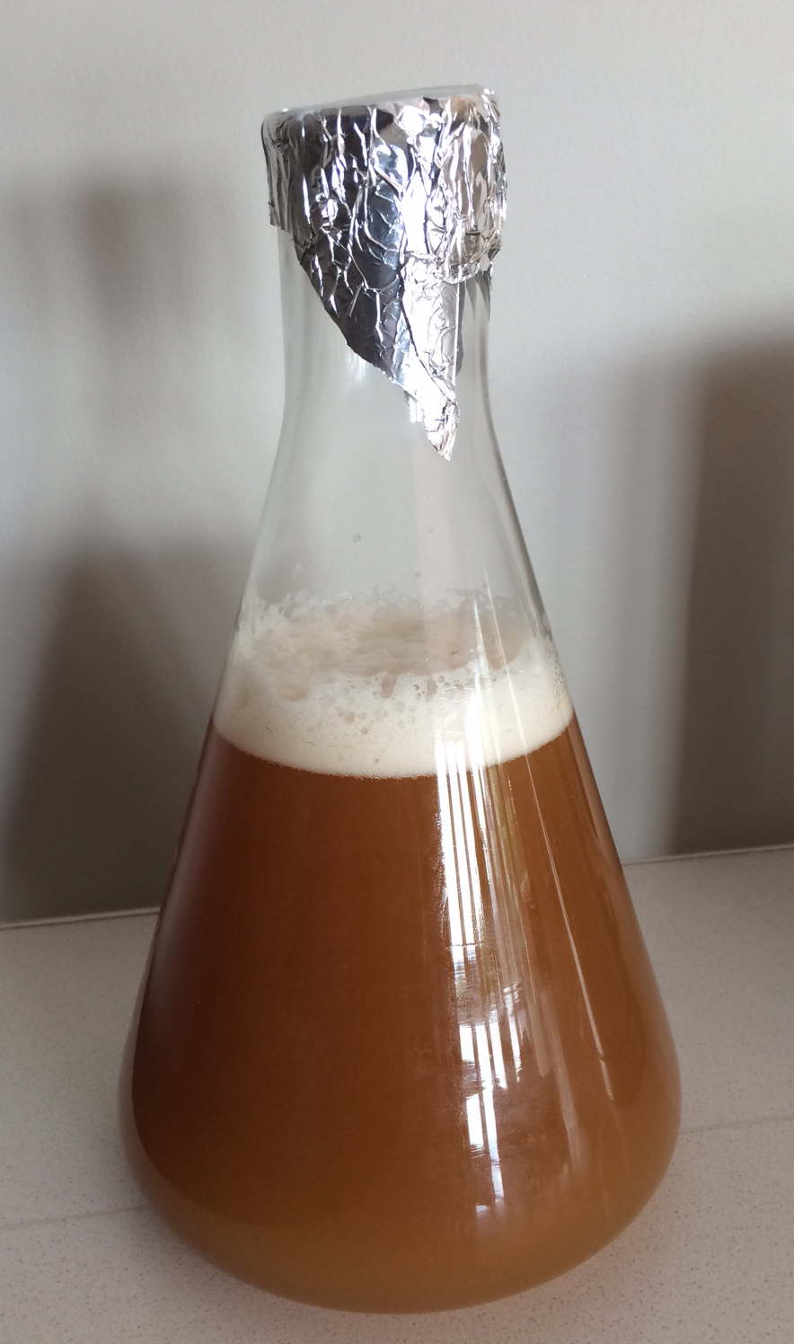 Fermentation Troubleshooting