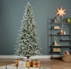 Killington Fir Frosted NI ROI Delivery Only