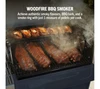 Ninja FlexFlame Gas BBQ & Outdoor Cooking System - Blue & Gold PG301UKBL