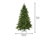 Everland's Galloway Spruce 7ft