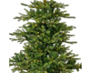 Everland's Grandis Fir Pre-Lit Compact (8ft)
