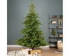 Everland's Grandis Fir Pre-Lit Compact (8ft)
