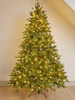 Three Kings Noble King Conifer Pre-Lit (7ft)