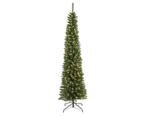 Everland's Pencil Pine LED 1.8M NI and ROI Delivery Only Everland's Pencil Pine LED 1.8M NI and ROI Delivery Only