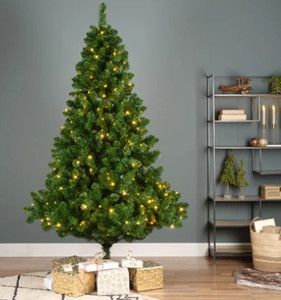 Imperial Pine LED 2.1M Imperial Pine LED 2.1M