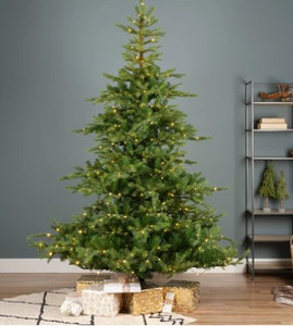 Grandis Fir LED 2.1M Grandis Fir LED 2.1M