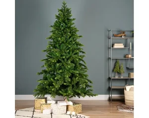 Everland's Galloway Spruce (7ft)