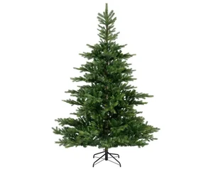 Everland's Grandis Fir (8ft)