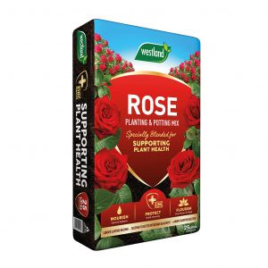 Rose 25L INSTORE PURCHASE ONLY Rose 25L INSTORE PURCHASE ONLY
