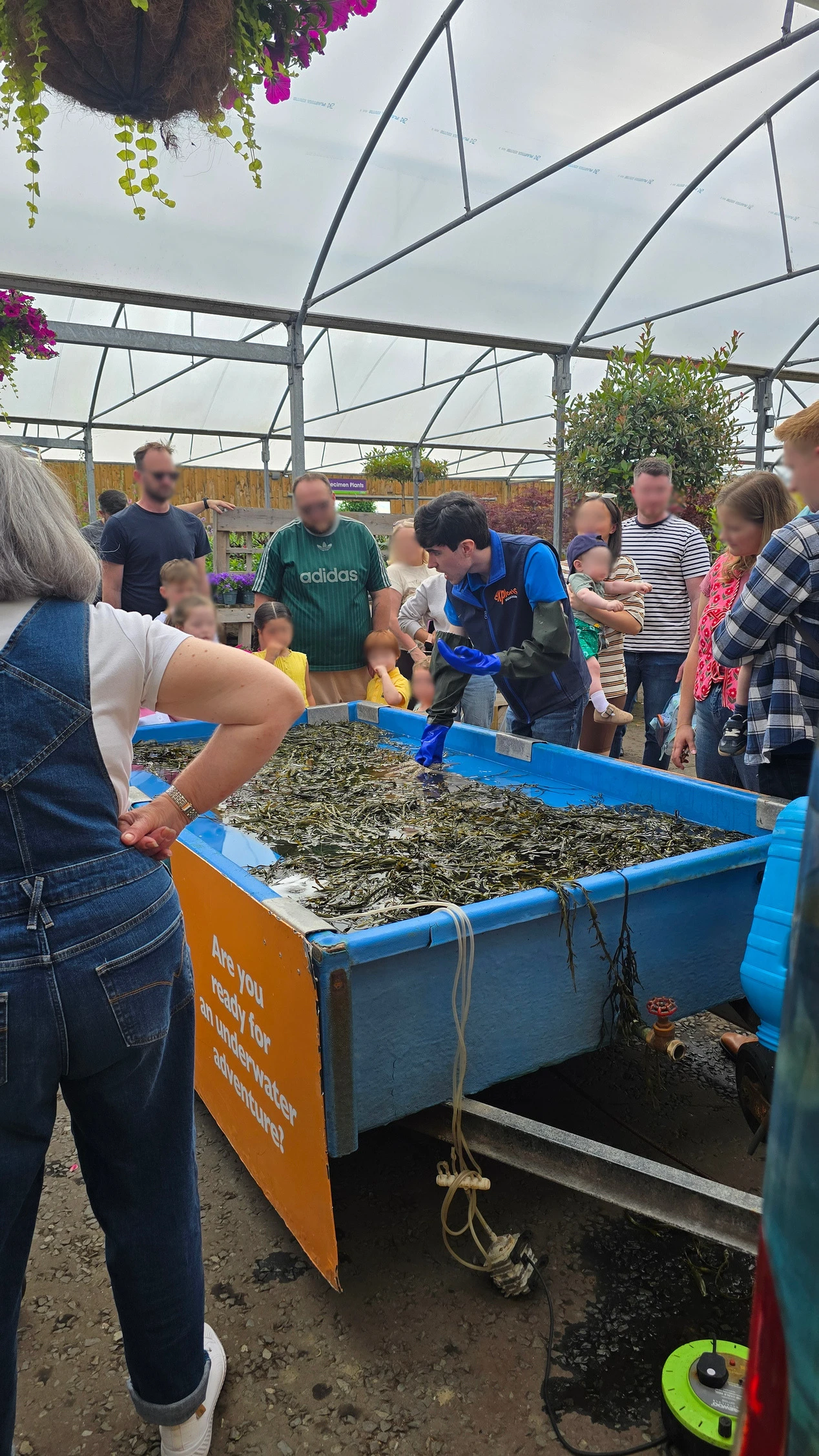 Families learning about aquatic life at a touch tank