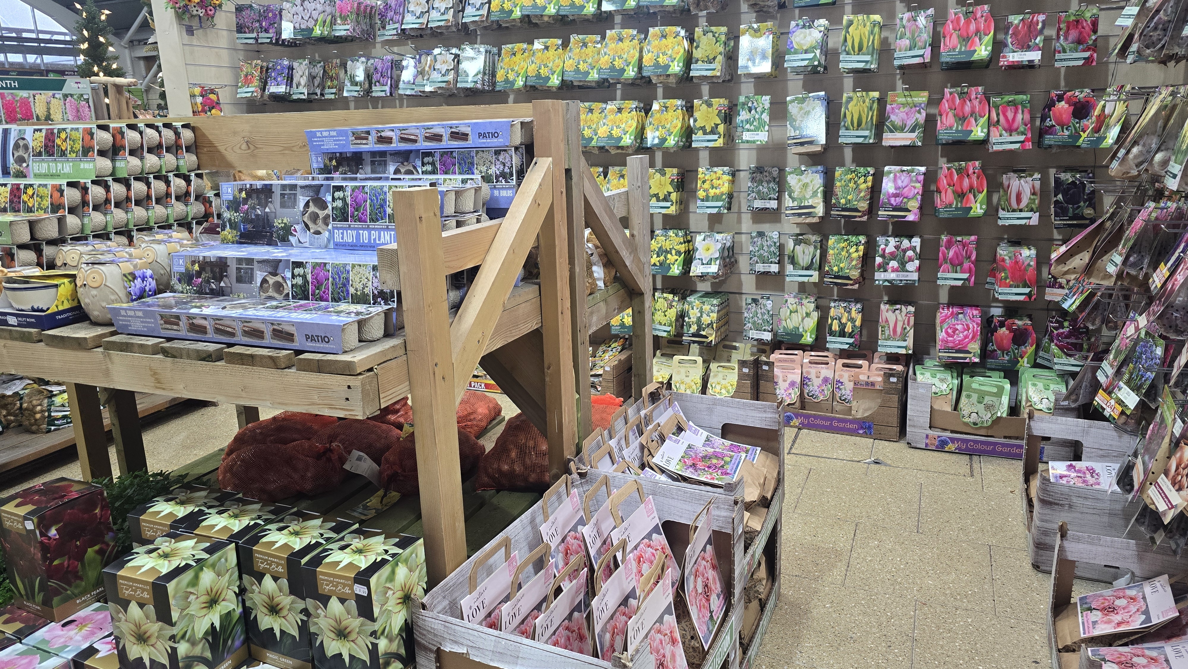 Autumn bulbs and seasonal planting