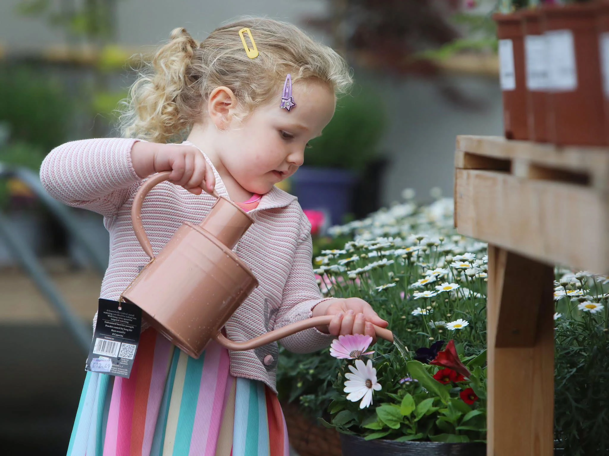 Young girl watering plants