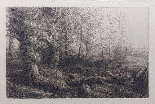 Etching by Alphonse Legros - "A Woodland Study", published 1903