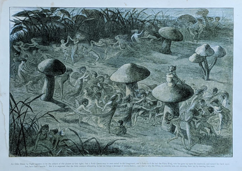 Richard Doyle (1870) vintage print - The Elfin Dance from "In Fairyland"