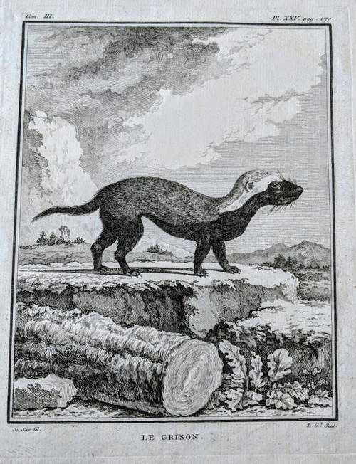 LE GRISON, antique print, published 1770