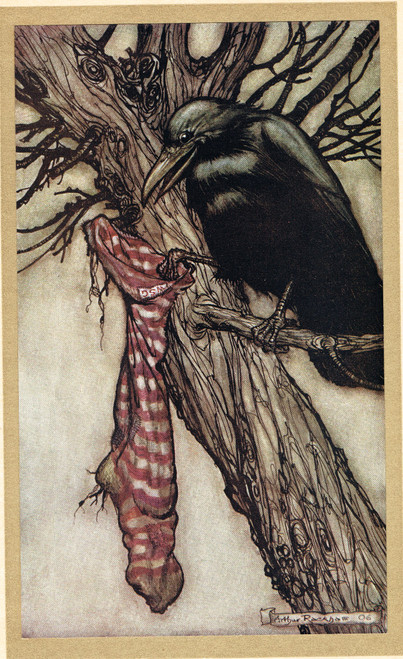 Solomon Caw, the old crow, from Peter Pan in Kensington Gardens - Arthur Rackham vintage print, 1906