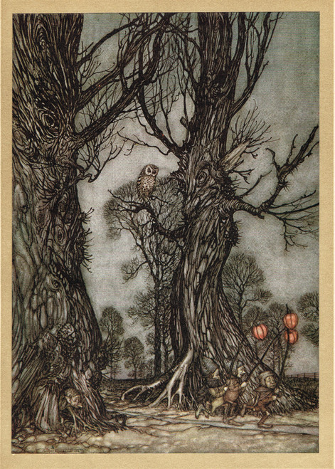 from 'Peter Pan in Kensington Gardens' - an Arthur Rackham vintage print, published 1906