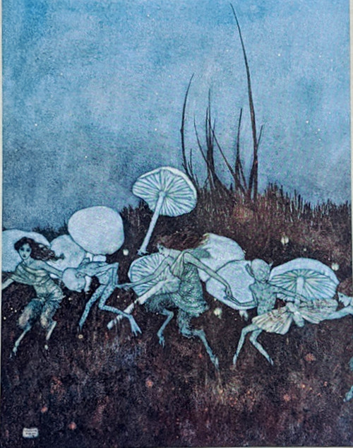 from The Tempest - "You demi-puppets that...do the green sour ringlets make" - EDMUND DULAC: vintage print, 1908