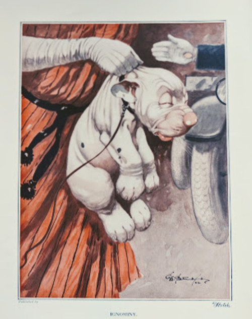 Vintage print of Studdy dog, bulldog puppy 'Bonzo' - published 1922