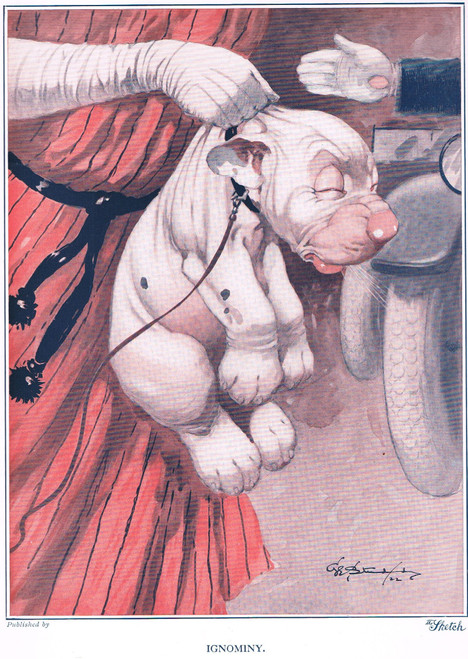 vintage print, 1922 - STUDDY DOGS:  "IGNOMINY!"