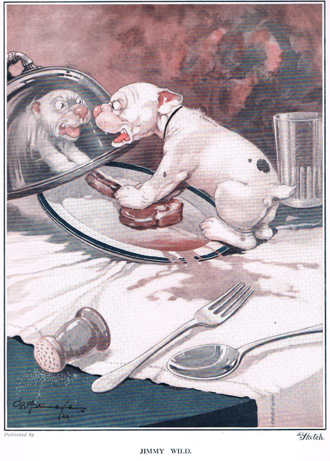 vintage print, 1922 - STUDDY DOGS: "JIMMY WILD" 