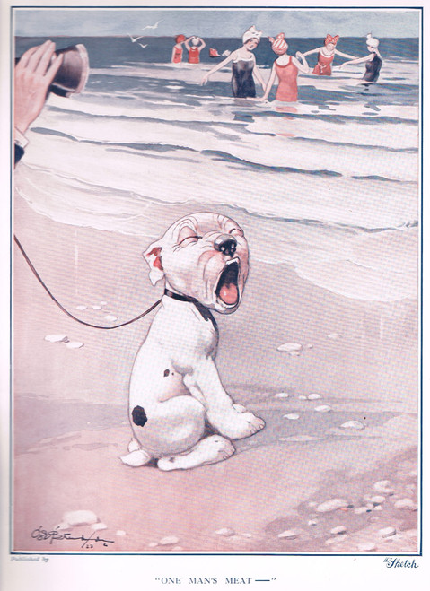 vintage print of bulldog puppy not liking the seaside... - published 1922