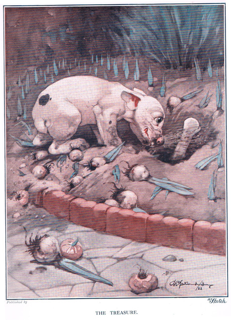 Vintage print of Bonzo, Studdy dog, digging for his bone in the garden - published 1922
