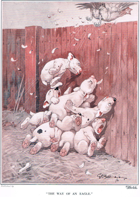 Vintage print of 9 bulldog puppies failing to capture a chicken! - published 1922