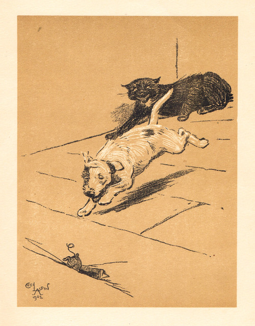 Cecil Aldin vintage print, 1903  - "Helped mouse escape from cat" 
