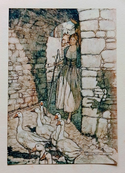 Arthur Rackham vintage print of The Goose Girl - published 1909
